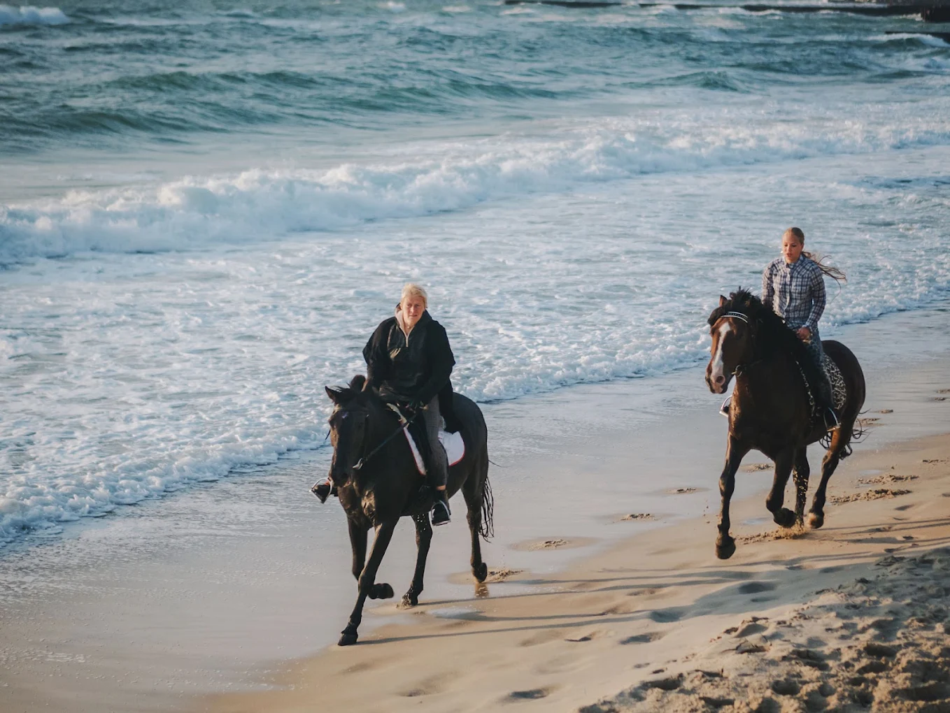 Horse and rider on a sandy beach along the Atlantic coast near Essaouira
