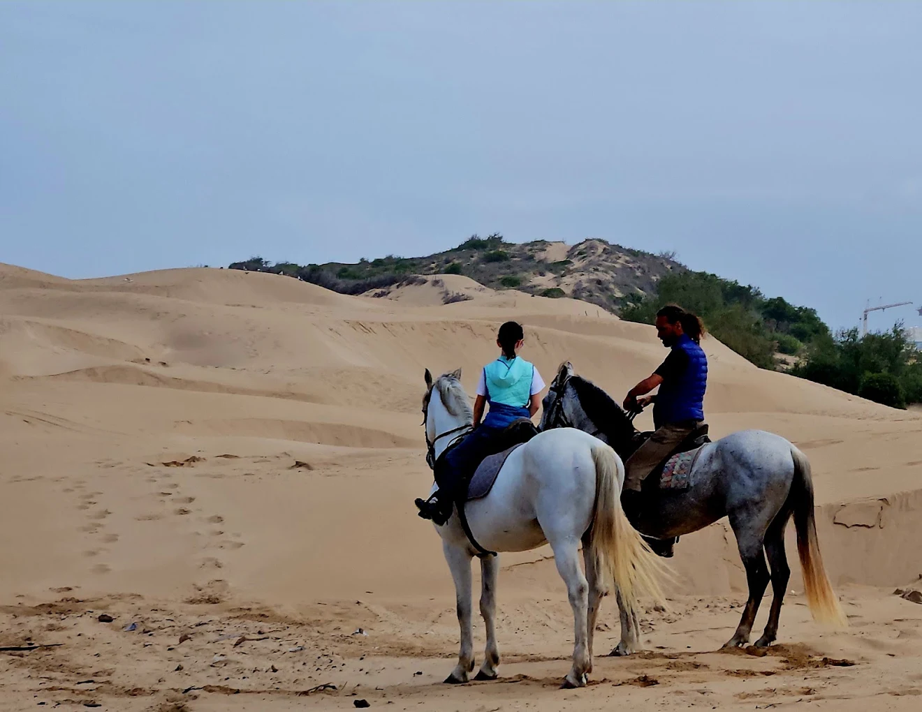 Horse and rider travelling through the open countryside surrounding Essaouira