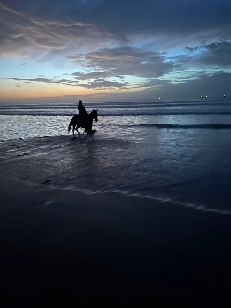Horseback riding experience through the coastal landscape near Essaouira